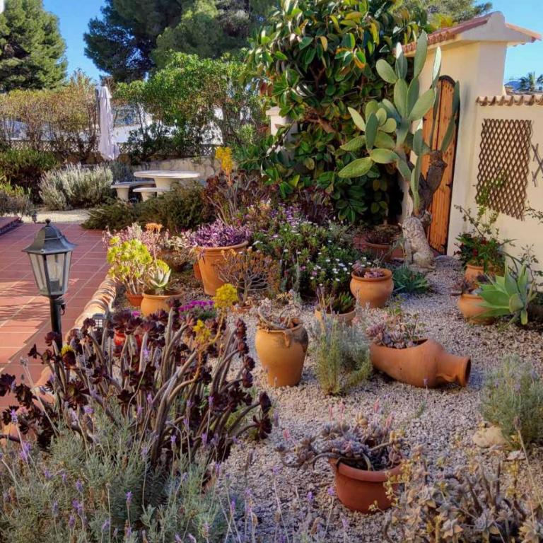 Casa Carolina Oasis with Heated Pool - Villa - 8