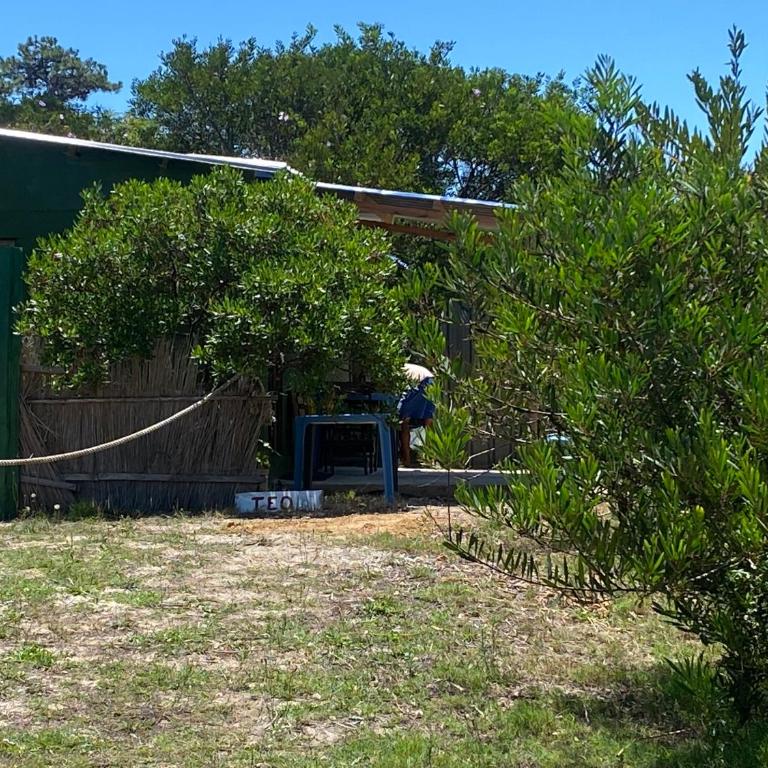 Milagros - Bungalow con ventilador - 14