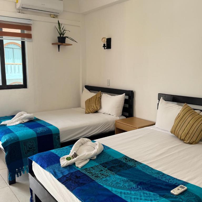 Calma Chicha Rooms - Classic Quadruple Room - 12