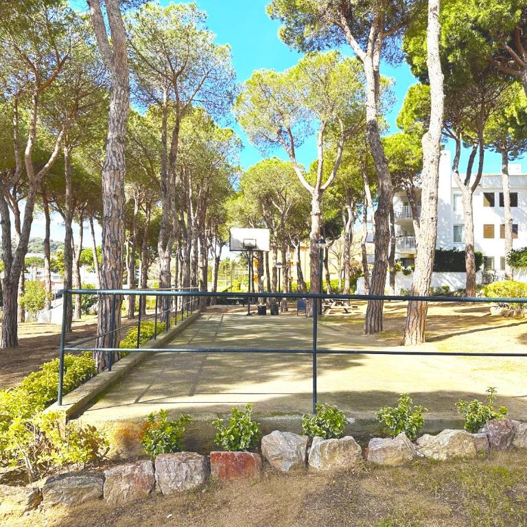 1 Pericot 01 - Apartamento con terraza - 11