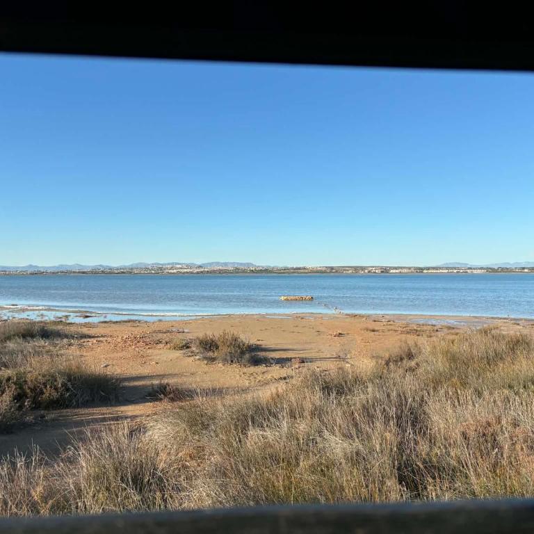 Apartament Torrevieja - One-Bedroom Apartment - 2