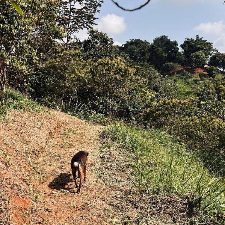 Casa Wayak - Superior Chalet - 7