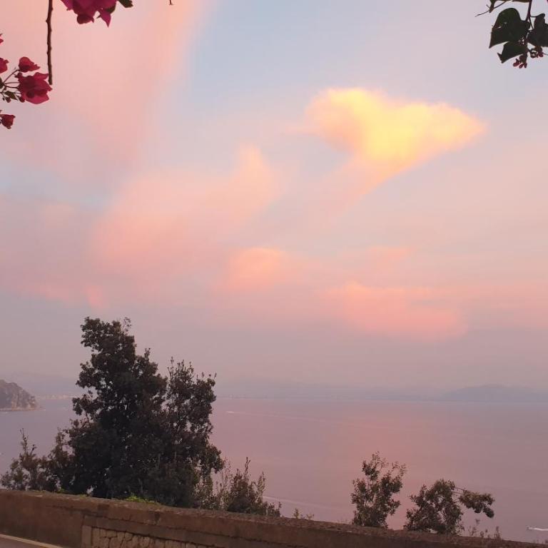 Villa Grace Amalfi seaview - Monolocale con Vista Giardino - 3
