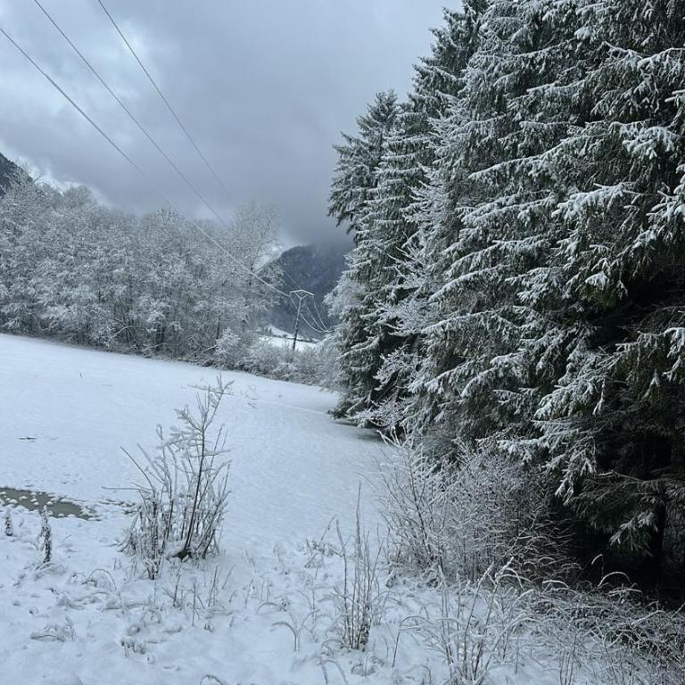 Sympathique appartement à Samoëns - Appartamento con 1 Camera da Letto - 2