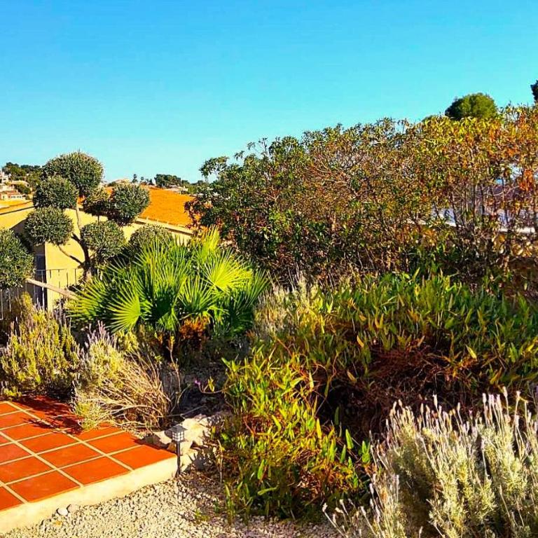 Casa Carolina Oasis with Heated Pool - Villa - 3