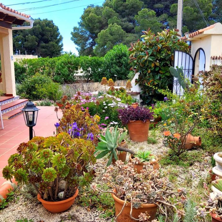 Casa Carolina Oasis with Heated Pool - Villa - 46
