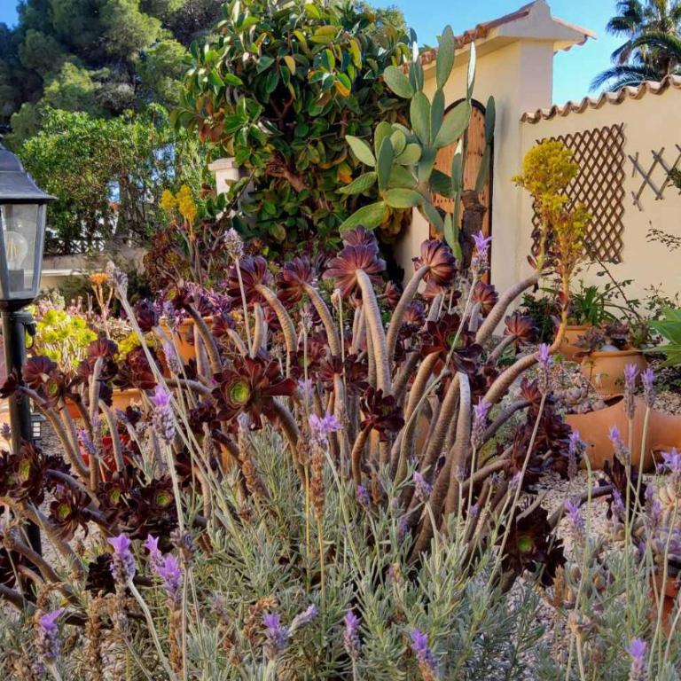 Casa Carolina Oasis with Heated Pool - Villa - 25