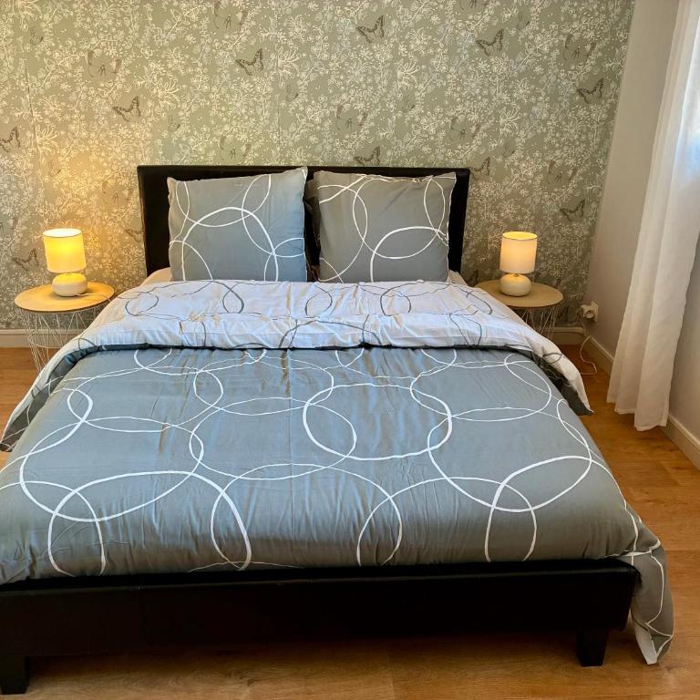 Centre coeur Vichy proche thermes et bords Allier - Appartamento con 1 Camera da Letto - 16