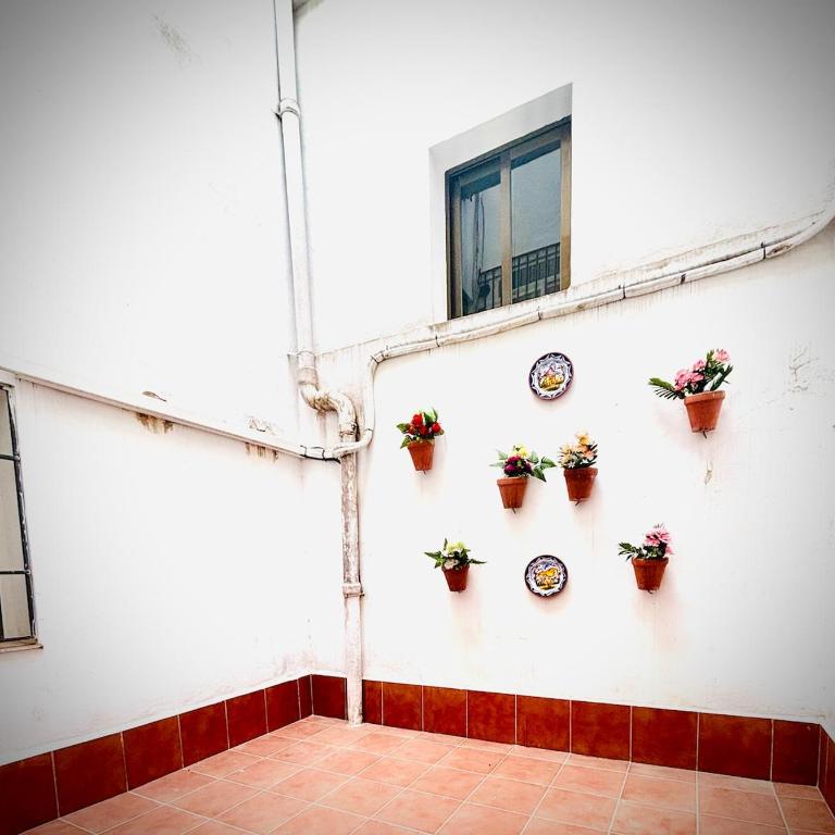 2 Noques - Apartamento de 1 dormitorio - 20