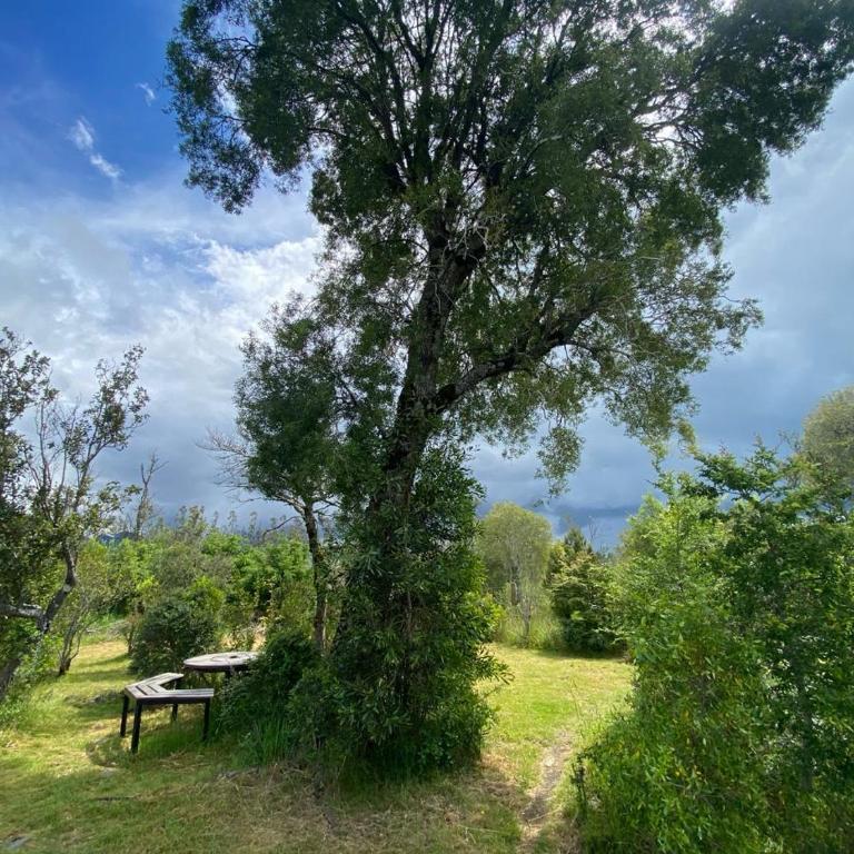 La Casona del Trancura - Six-Bedroom House - 51