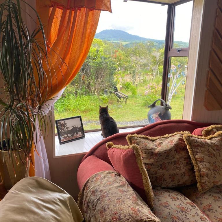 La Casona del Trancura - Six-Bedroom House - 13