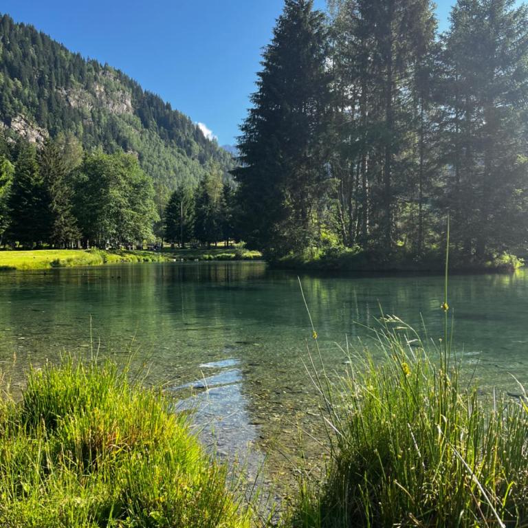 Chalet massif du Mont Blanc St Gervais les bains - Megeve - Chalet 2 Chambres - 39