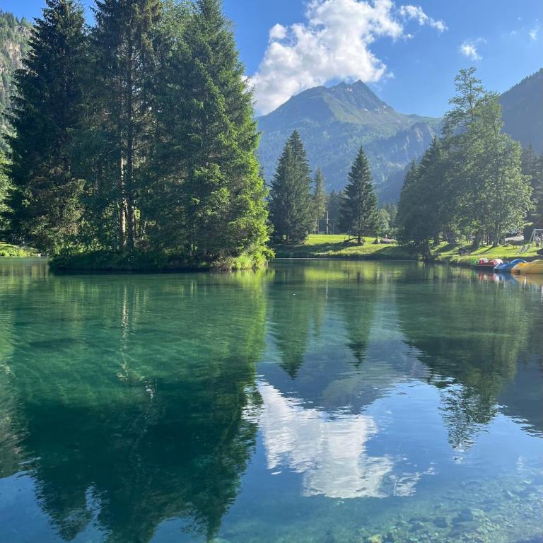 Chalet massif du Mont Blanc St Gervais les bains - Megeve - Chalet 2 Chambres - 30