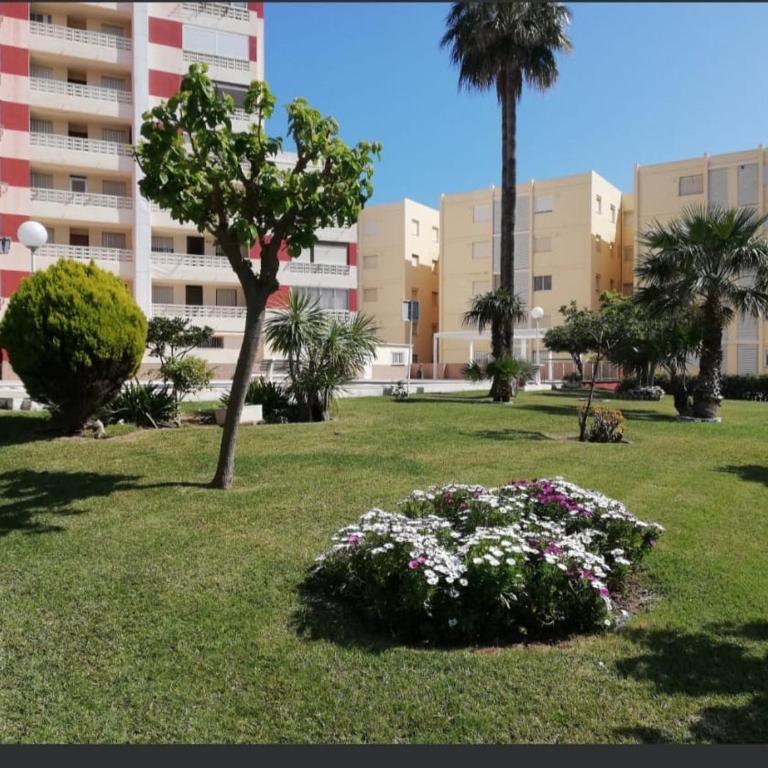 Apartamento en Primera Línea con Vistas al Mar - SOLO FAMILIAS - Apartamento de 1 dormitorio - 17