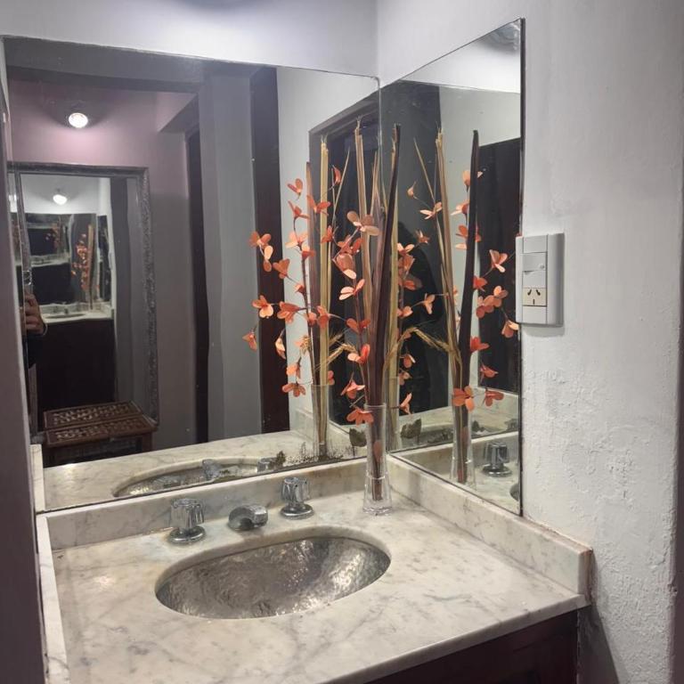 Luna de Salta - Apartamento de 1 dormitorio - 5