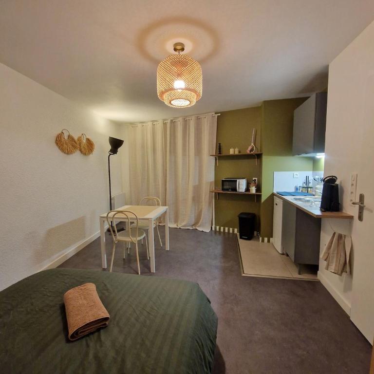 Une escapade poitevine - Appartement 1 Chambre - 1