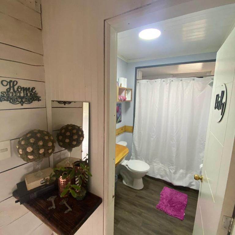La Casona del Trancura - Six-Bedroom House - 24