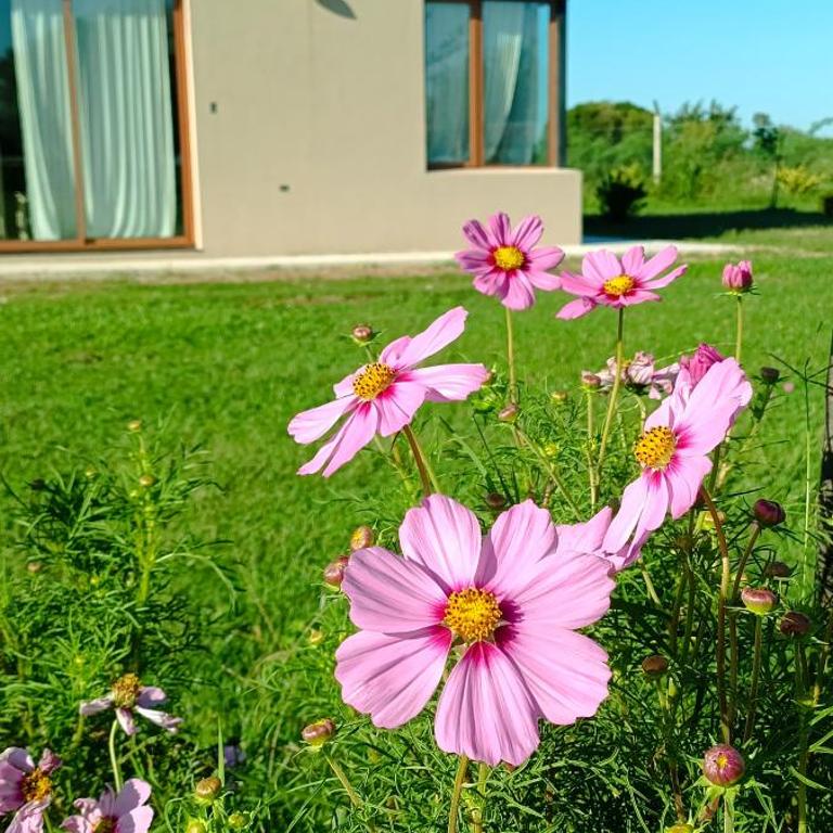La Victoria Expoagro - Casa con 1 dormitorio - 6