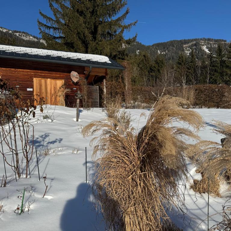 Ferienwohnung Wildrose - Apartment mit Blick auf die Berge - 51