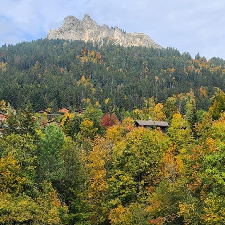Pied des pistes, Bernex, Charmant F1 bis - Appartement 1 Chambre - 21