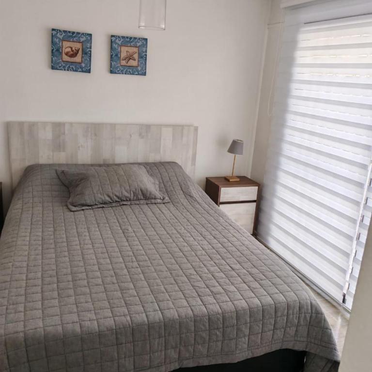 Depto Centro de Reñaca - One-Bedroom Apartment - 1