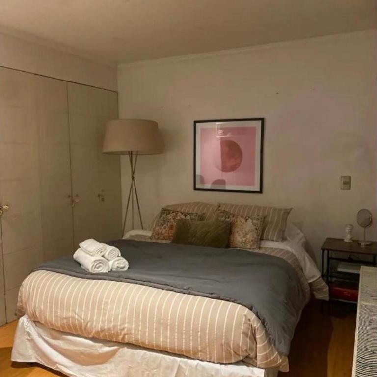 Departamento estudio en Lastarria, piscina con vista al cerro Santa Lucia, cama dos plazas - Studio Apartment with Queen Bed - 1