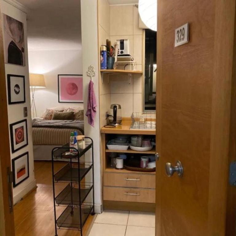 Departamento estudio en Lastarria, piscina con vista al cerro Santa Lucia, cama dos plazas - Studio Apartment with Queen Bed - 9