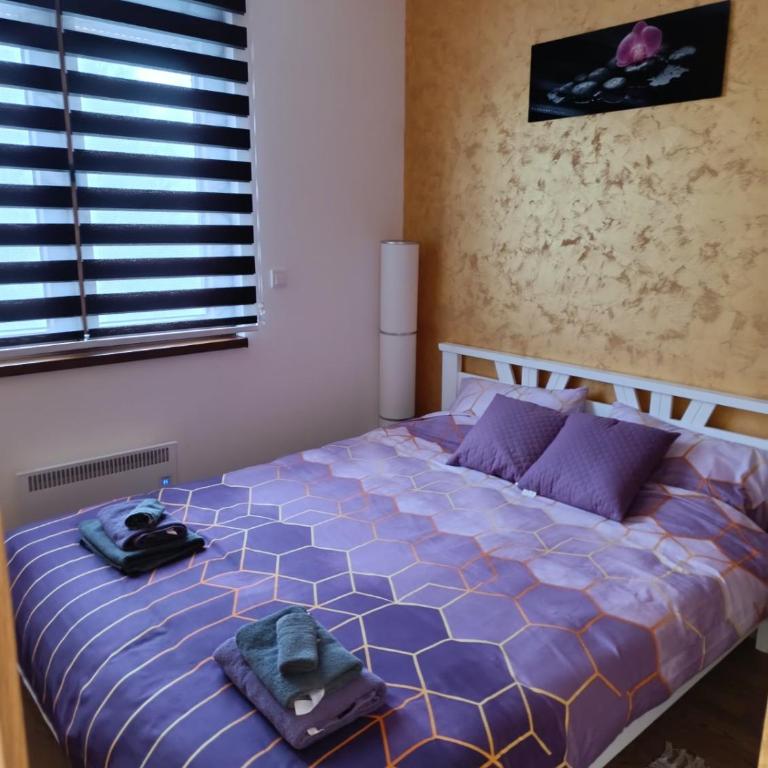 Mountview Zlatibor - One-Bedroom Apartment - 5