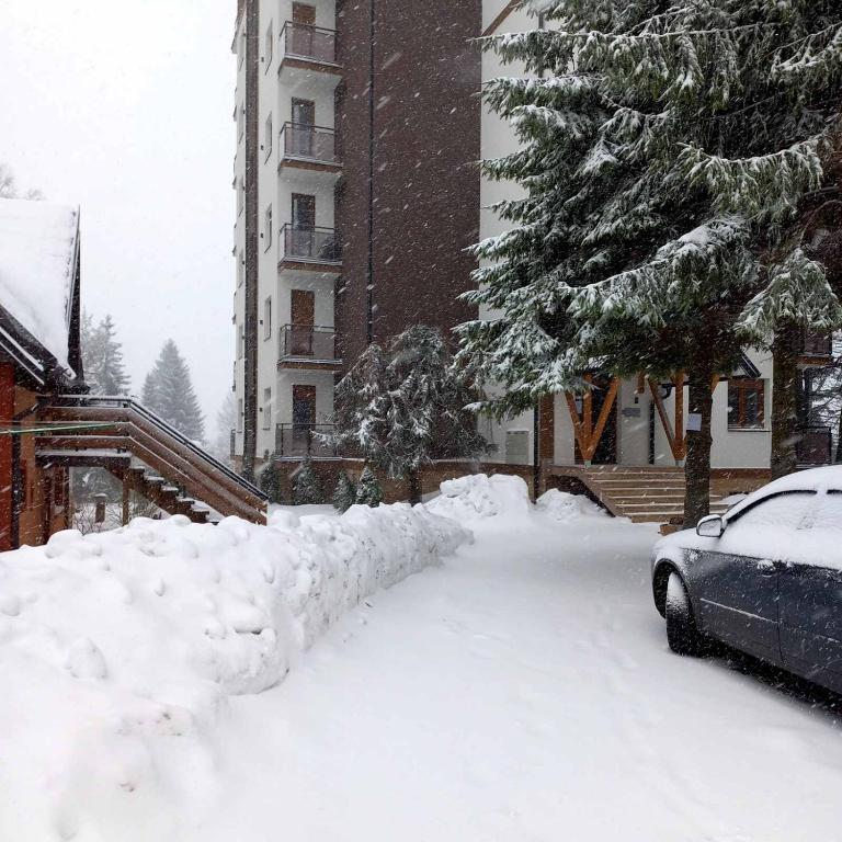 Mountview Zlatibor - One-Bedroom Apartment - 7