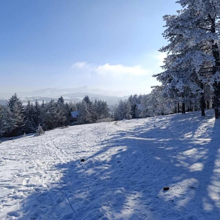 Mountview Zlatibor - One-Bedroom Apartment - 12
