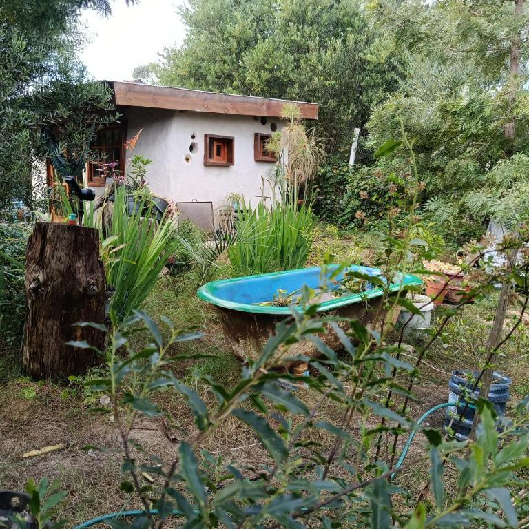 Casitas de Risa - One-Bedroom House - 7