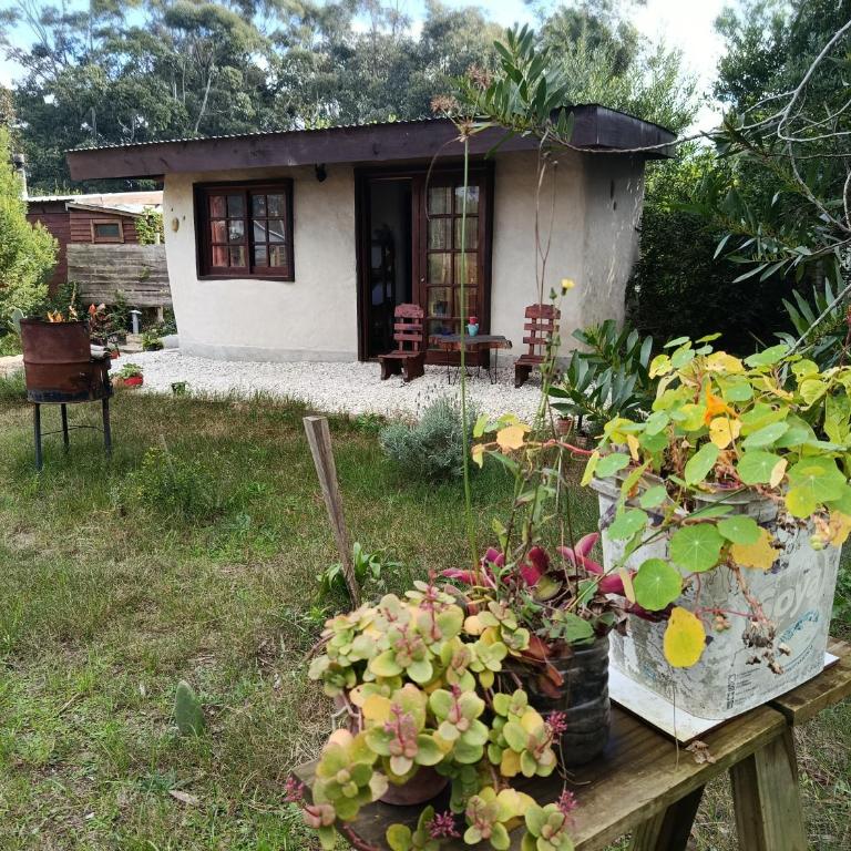 Cabaña Ecológica Mulle - One-Bedroom Apartment - 1