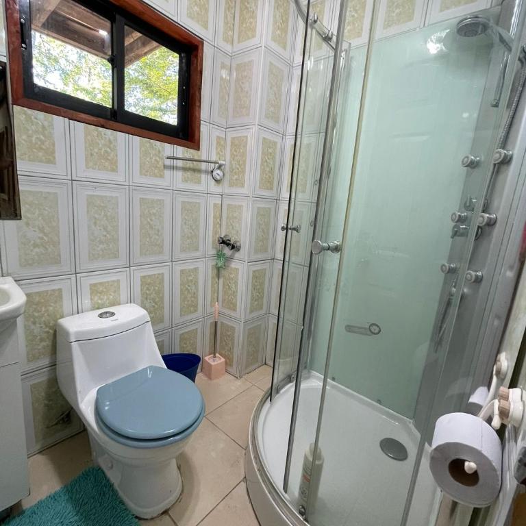Casa Pucon - Vacation Home - 18