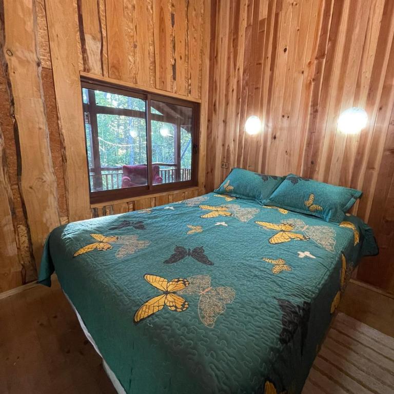 Casa Pucon - Vacation Home - 23