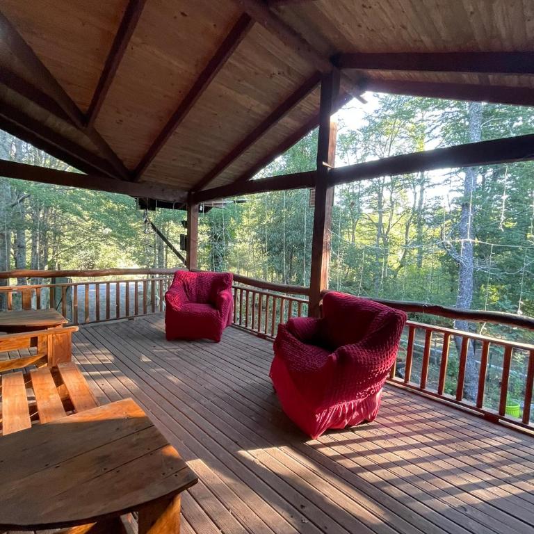Casa Pucon - Vacation Home - 7