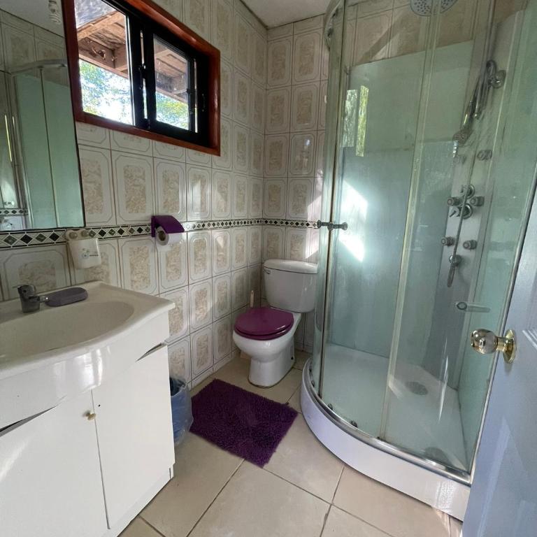 Casa Pucon - Vacation Home - 14