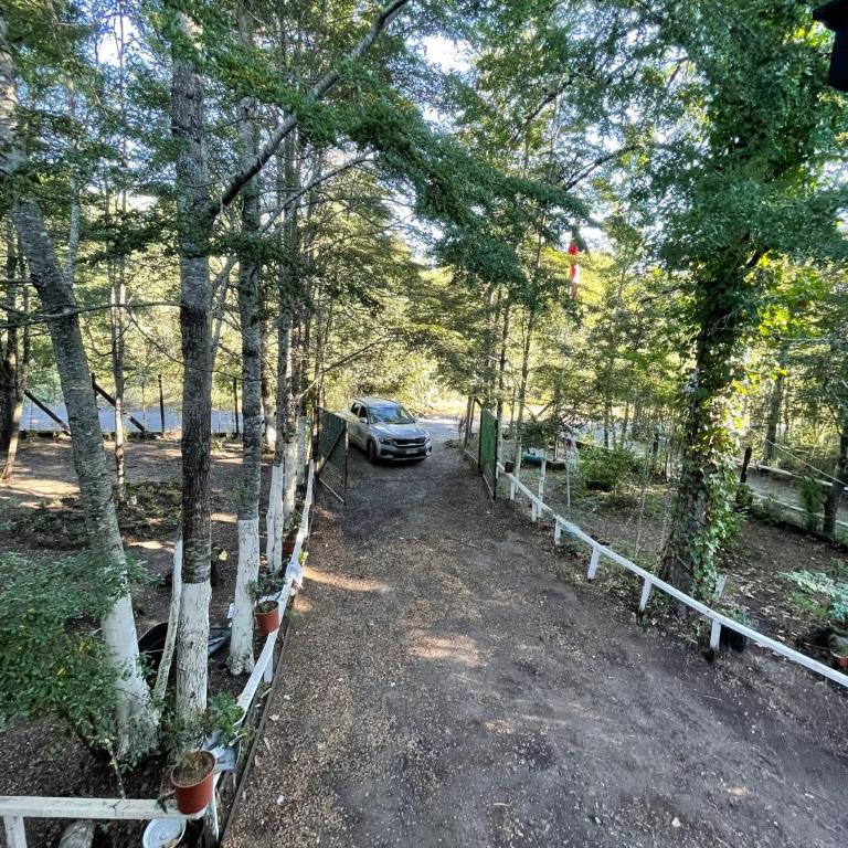 Casa Pucon - Vacation Home - 3