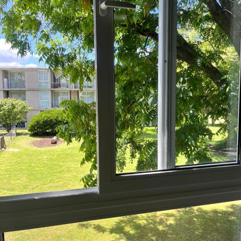Hermoso y tranquilo monoambiente estudio - One-Bedroom Apartment - 6