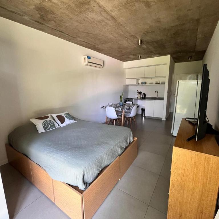 Hermoso y tranquilo monoambiente estudio - One-Bedroom Apartment - 9