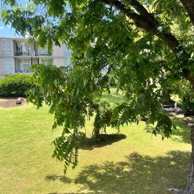 Hermoso y tranquilo monoambiente estudio - One-Bedroom Apartment - 20