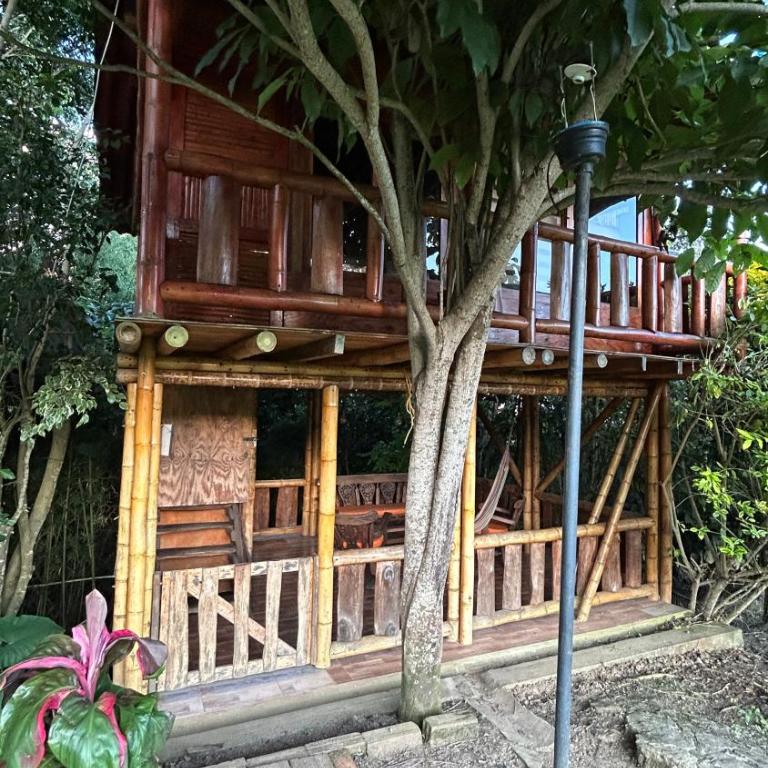 Lak Hostel lago calima - Quadruple Room - 17