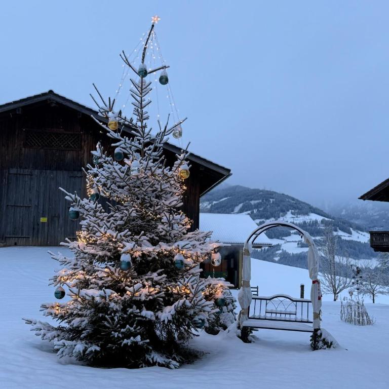 Landhaus mit Familienglück und Ofenwärme - Ferienhaus mit 3 Schlafzimmern - 4