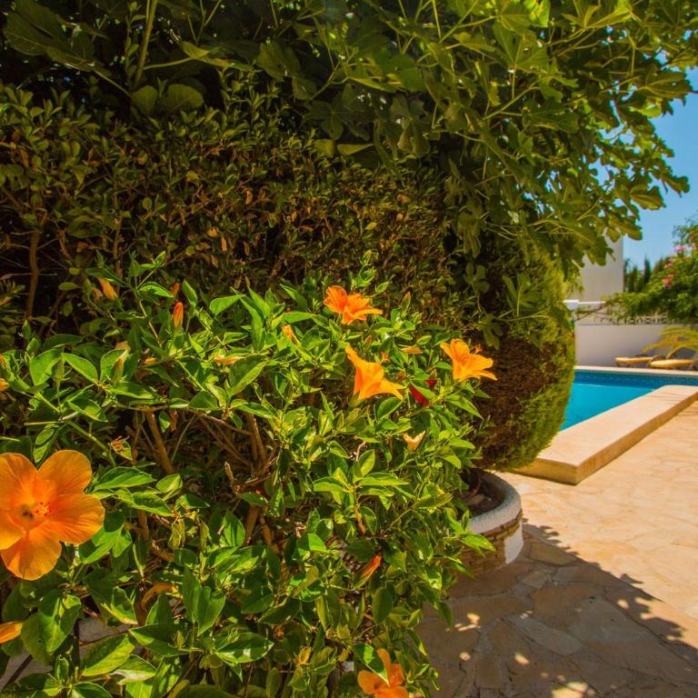 Villa Pura Vida by Abahana Villas - Villa con piscina privada - 29