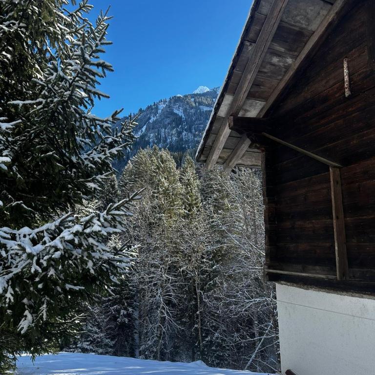 Cozy Mazot Champéry Portes du Soleil - Chalet - 20