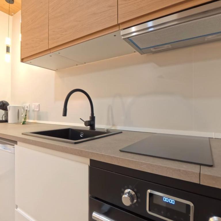 Bajo B, Acogedor Estudio en Marqués de Santa Ana - Apartamento de 2 dormitorios - 4