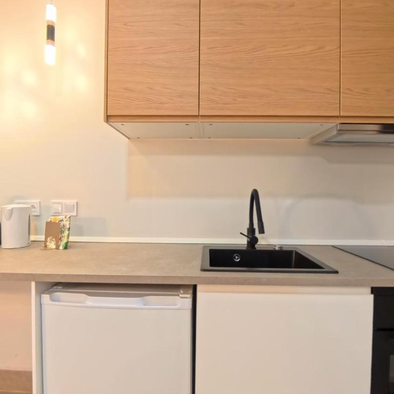 Bajo B, Acogedor Estudio en Marqués de Santa Ana - Apartamento de 2 dormitorios - 22