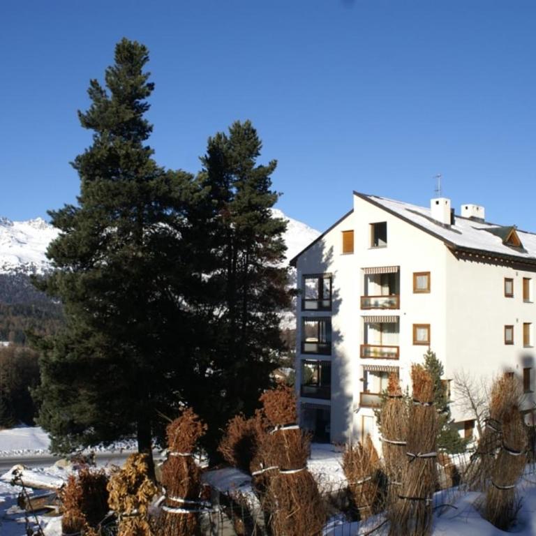 Chesa Piz Alv - Apartment mit 2 Schlafzimmern - 1