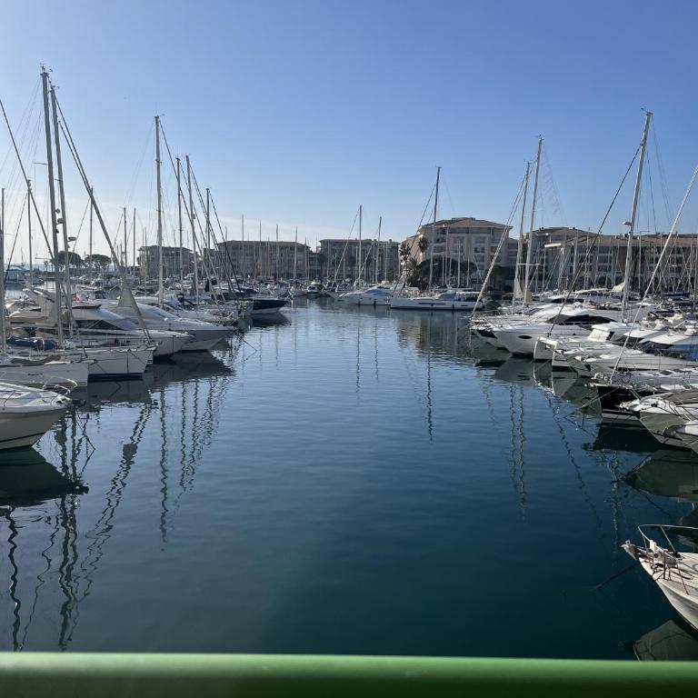 SUR LES QUAIS DE PORT FREJUS, magnifique T2, 4 per - Appartamento con 1 Camera da Letto, Vista Mare e Terrazza - 1