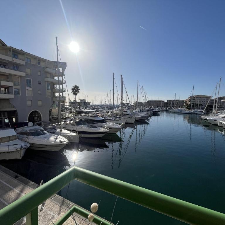 SUR LES QUAIS DE PORT FREJUS, magnifique T2, 4 per - Appartamento con 1 Camera da Letto, Vista Mare e Terrazza - 16