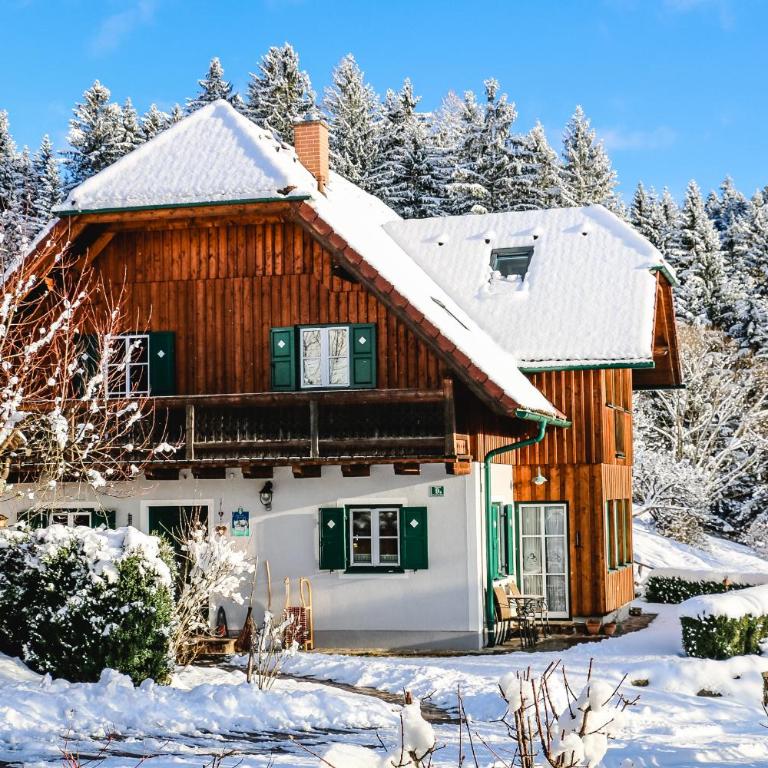 Haunzwickl Ferienhaus - Apartment mit 2 Schlafzimmern und Balkon - 22